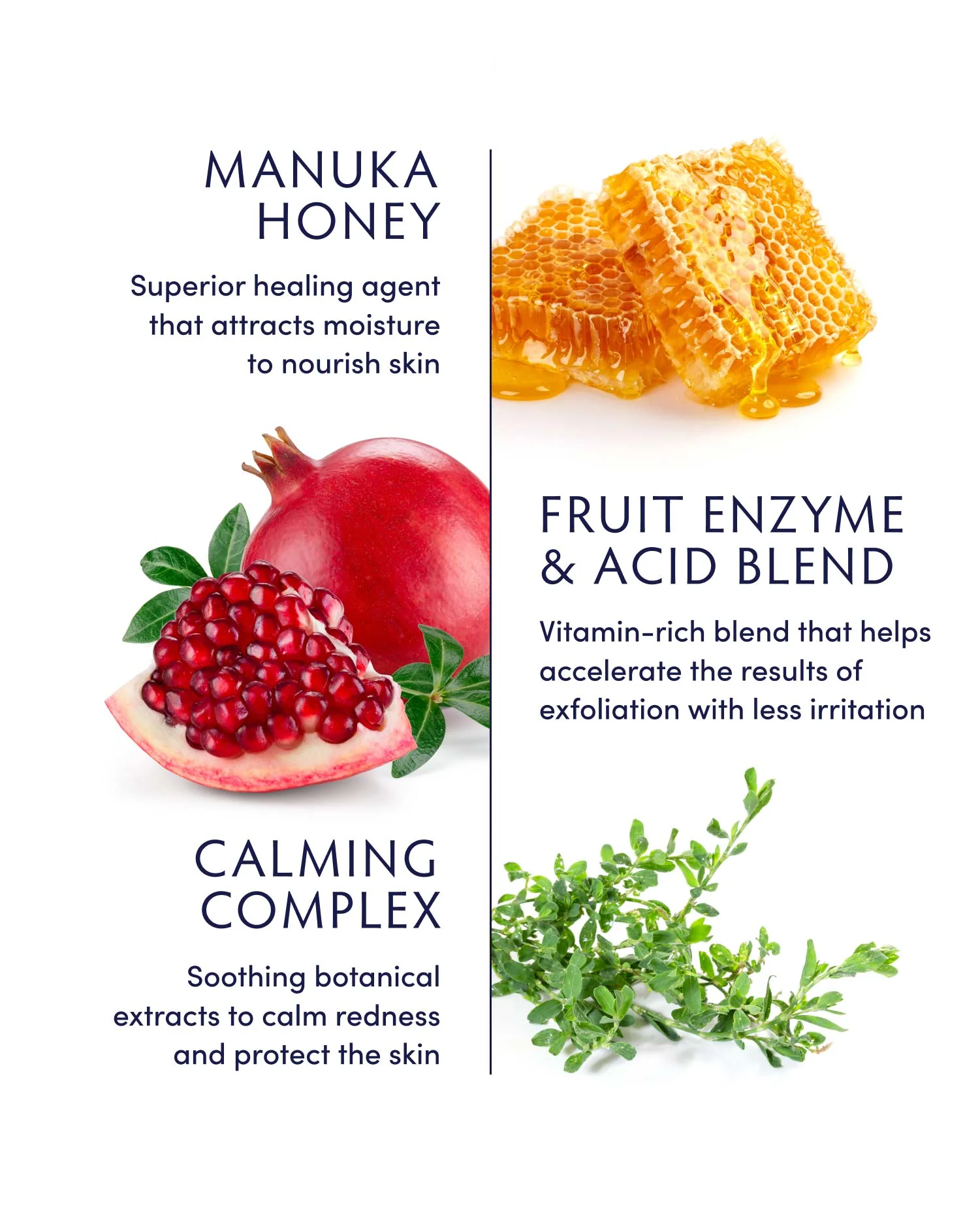 PDP_ManukaExfoliator_ingredient_2048x2048